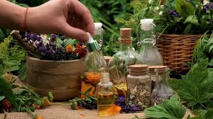 Holistic Nature – Naturlige & Holistiske Produkter